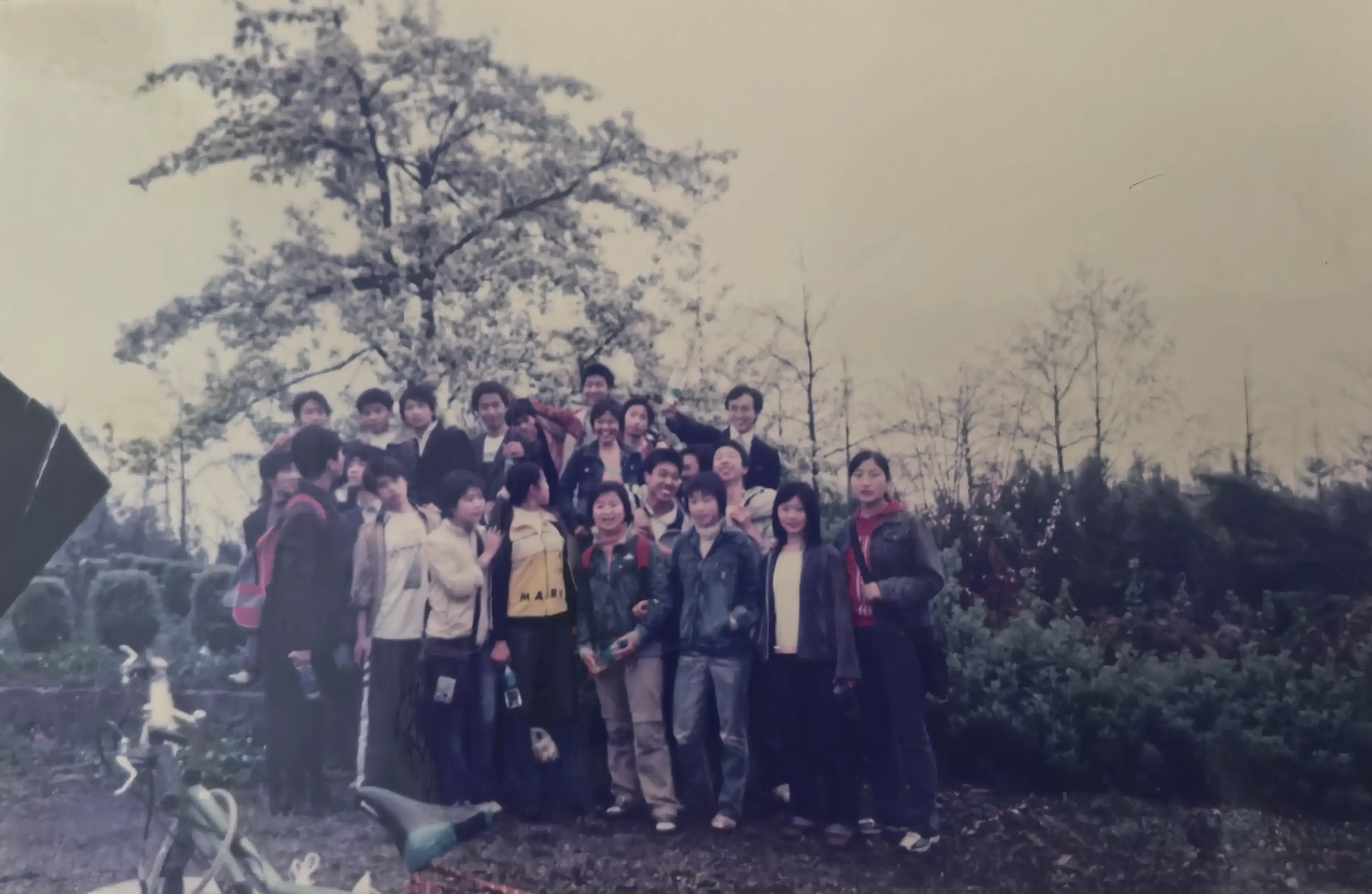 2006年毕业旅行休闲山庄集体照，212班同学们在木质长廊上的创意合影。有人攀着栏杆，有人搭着肩膀，少年们用各种搞怪姿势对抗着即将分离的伤感，把最活泼的青春模样永远留在了这片山水之间。